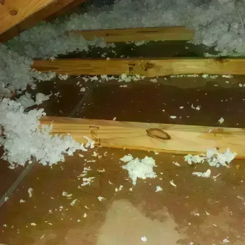 Attic Water Damage in Litchfield, CT